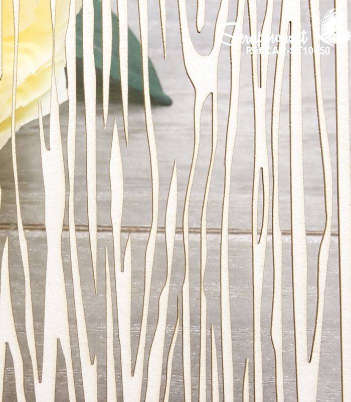 Chipboard Fond texture bois SCRAPMOUSET