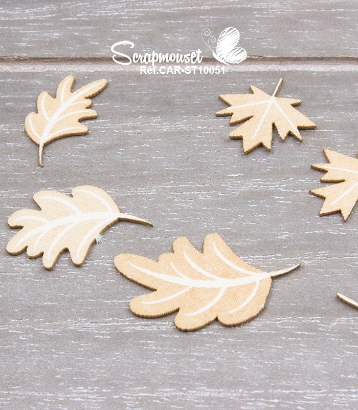 Chipboards Renard et raton laveur SCRAPMOUSET