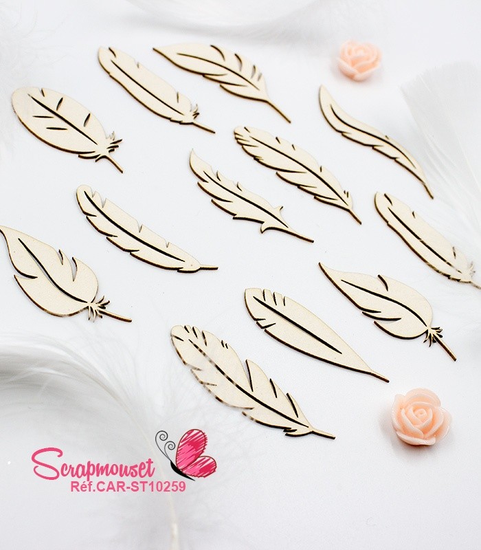 Set de Plumes - SCRAPMOUSET