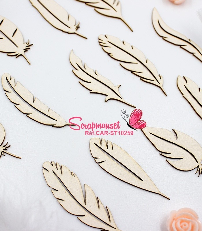 Set de Plumes - SCRAPMOUSET