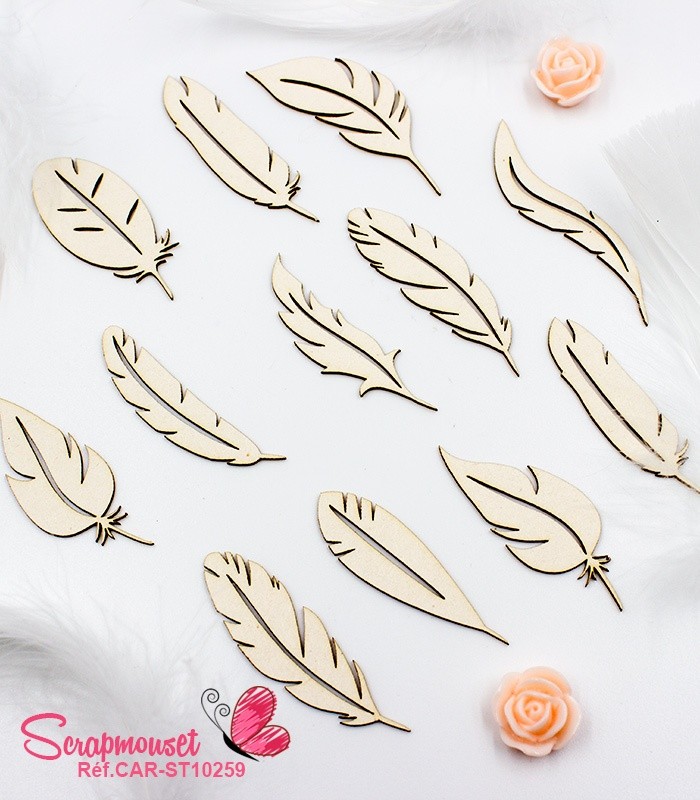 Set de Plumes - SCRAPMOUSET