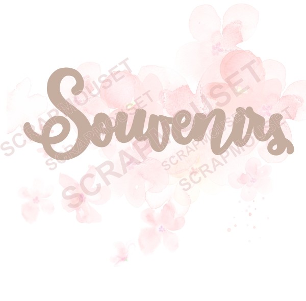 Mot Souvenirs en carton bois SCRAPMOUSET