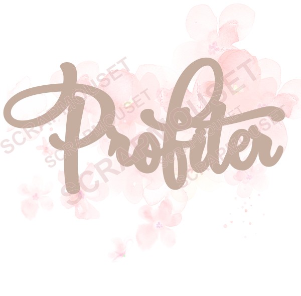 Mot Profiter en carton bois SCRAPMOUSET