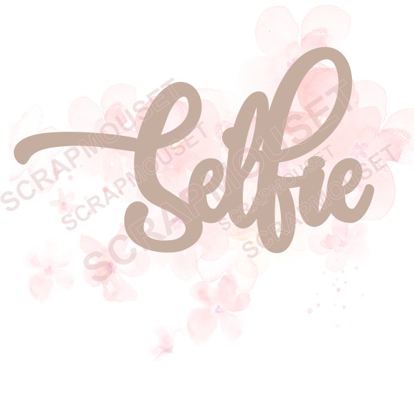 Mot Selfie en carton bois SCRAPMOUSET