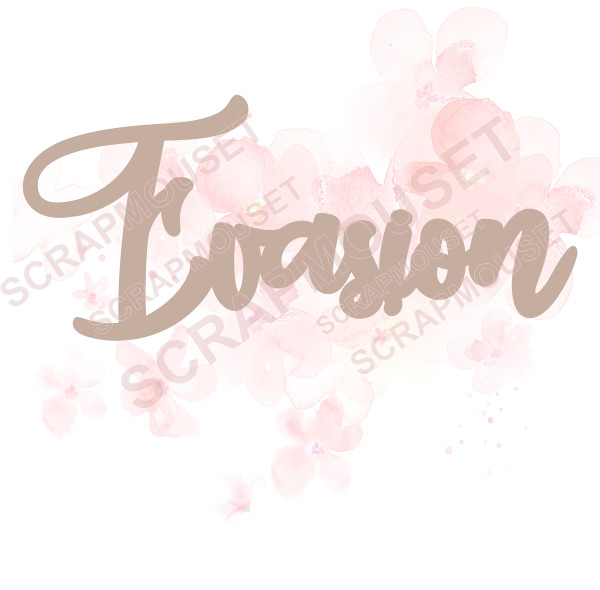 Mot Evasion en carton bois SCRAPMOUSET