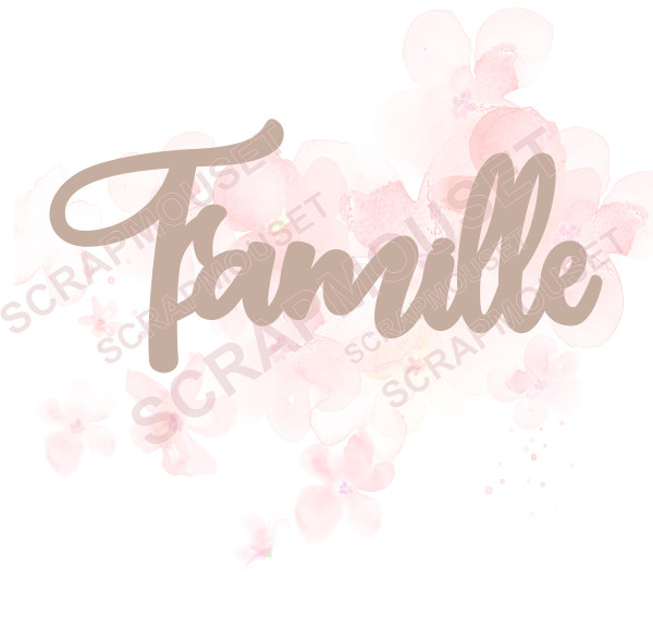 Mot Famille en carton bois SCRAPMOUSET