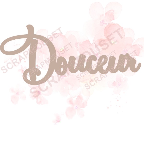Mot Douceur en carton bois SCRAPMOUSET