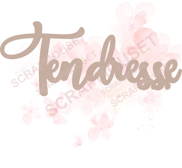 Mot Tendresse en carton bois SCRAPMOUSET