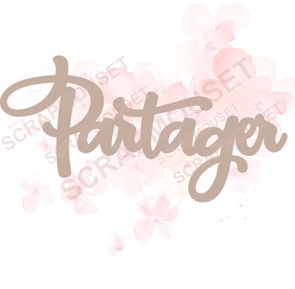 Mot Partager en carton bois SCRAPMOUSET