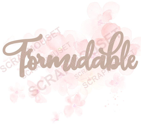Mot Formidable en carton bois SCRAPMOUSET
