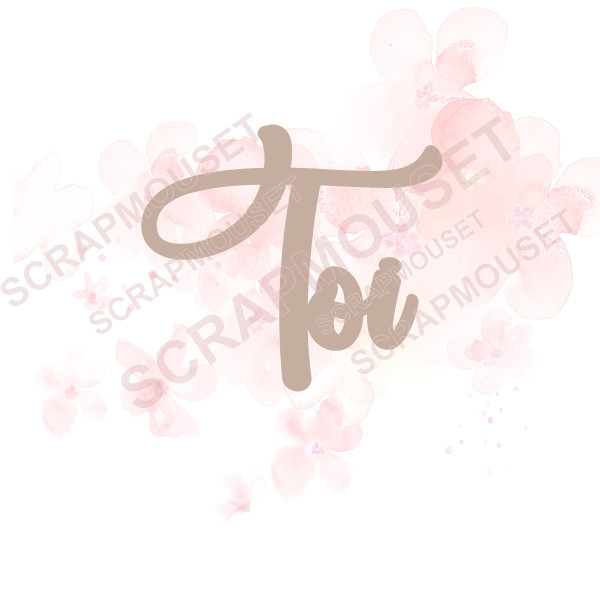 Mot Toi en carton bois SCRAPMOUSET