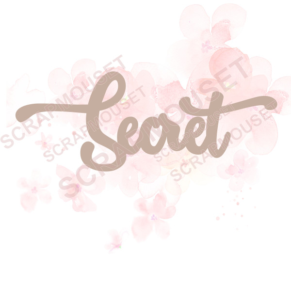 Mot Secret en carton bois SCRAPMOUSET