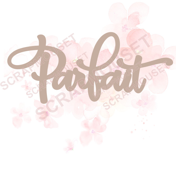 Mot Parfait en carton bois SCRAPMOUSET
