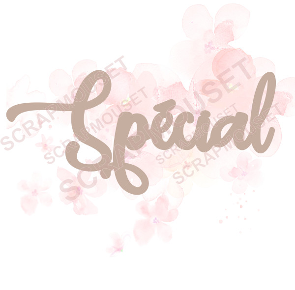 Mot Spécial en carton bois SCRAPMOUSET