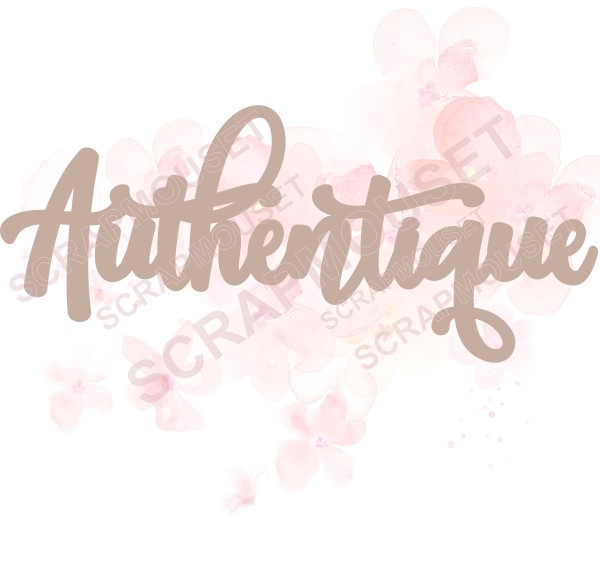 Mot Authentique en carton bois SCRAPMOUSET
