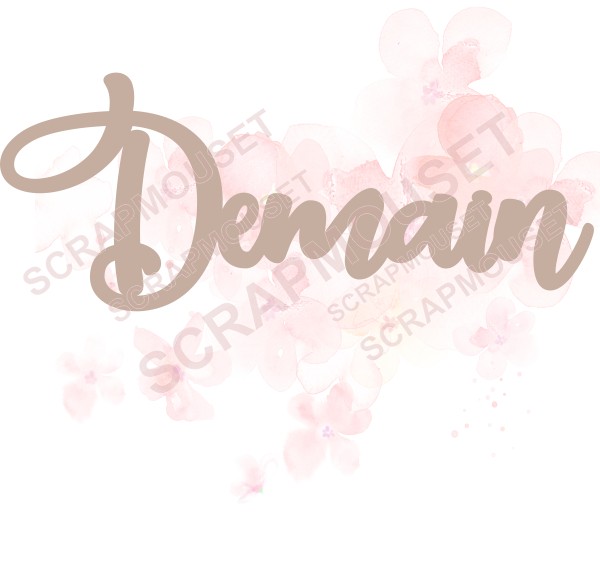 Mot Demain en carton bois SCRAPMOUSET