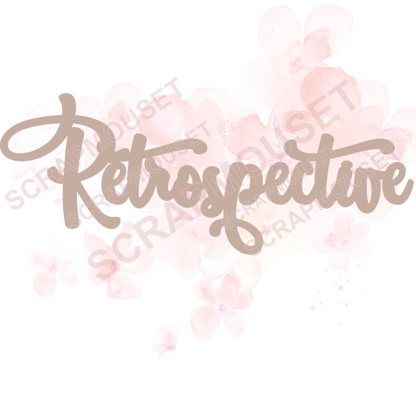 Mot Rétrospective en carton bois SCRAPMOUSET