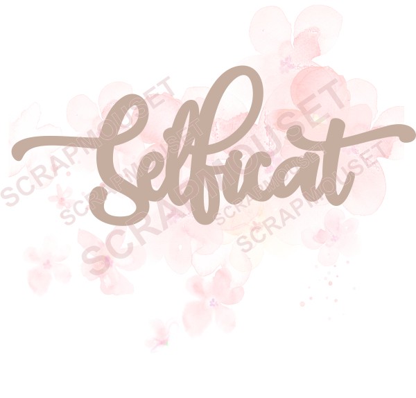 Mot Selfiecat en bois ou carton bois SCRAPMOUSET