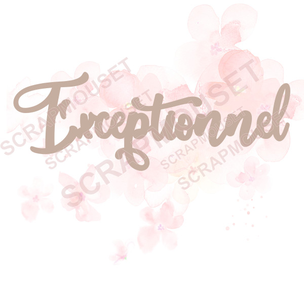 Mot Exceptionnel en bois ou carton bois SCRAPMOUSET