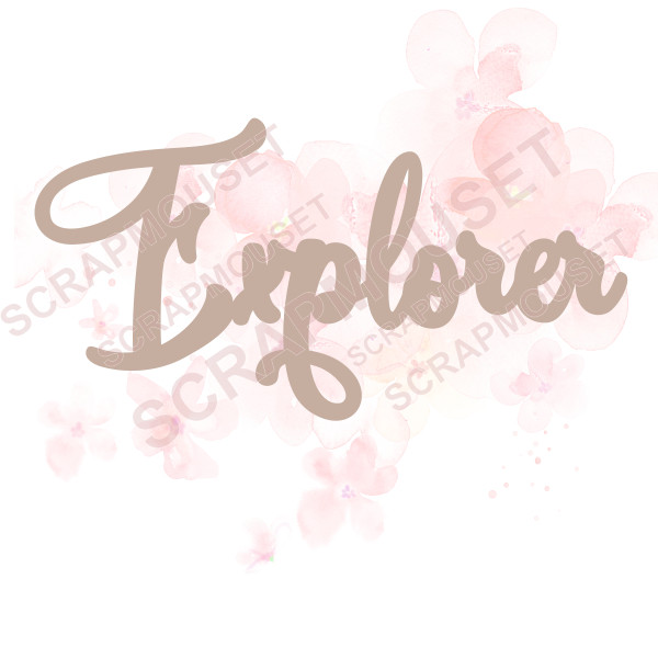 Mot Explorer en bois ou carton bois SCRAPMOUSET