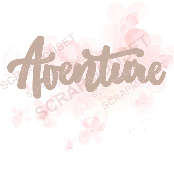 Mot Aventure en carton bois SCRAPMOUSET