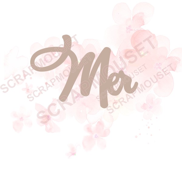 Mot Mer en carton bois SCRAPMOUSET