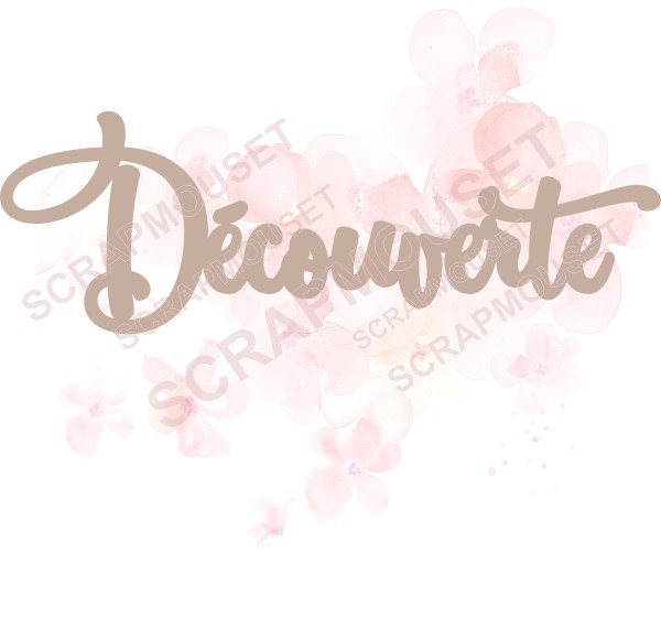 Mot Découverte en carton bois SCRAPMOUSET
