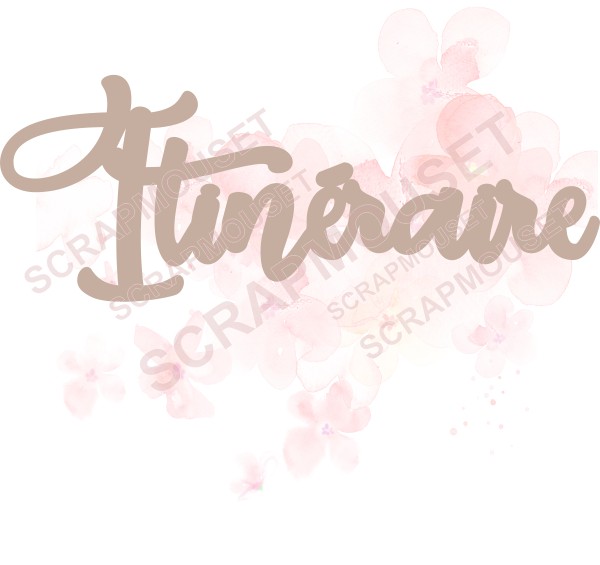 Mot Itinéraire en carton bois SCRAPMOUSET