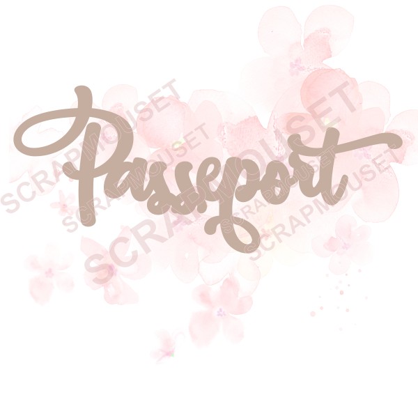 Mot Passeport en carton bois SCRAPMOUSET
