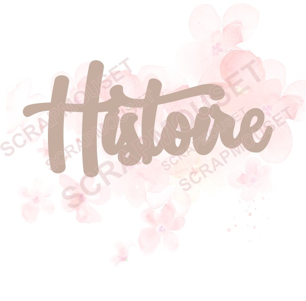 Mot Histoire en carton bois SCRAPMOUSET