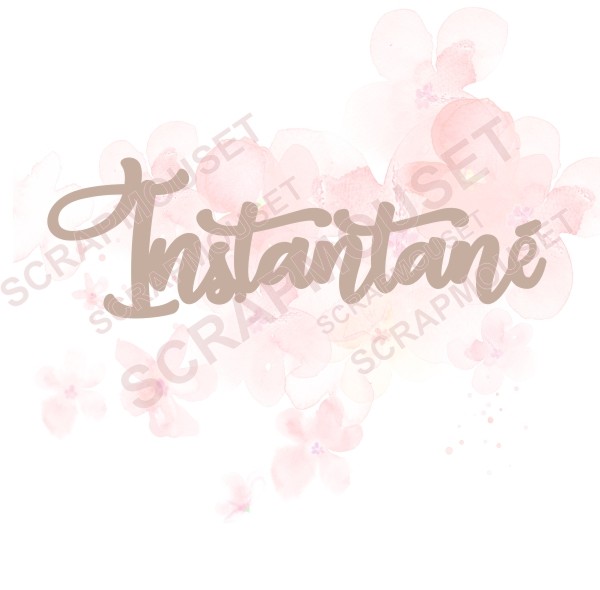 Mot Instantané en bois ou carton bois SCRAPMOUSET