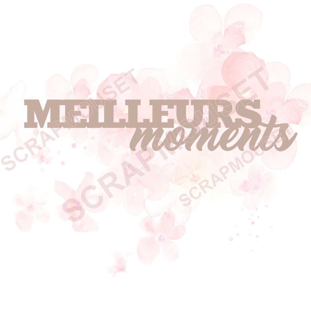 Mot Meilleurs moments en carton bois SCRAPMOUSET
