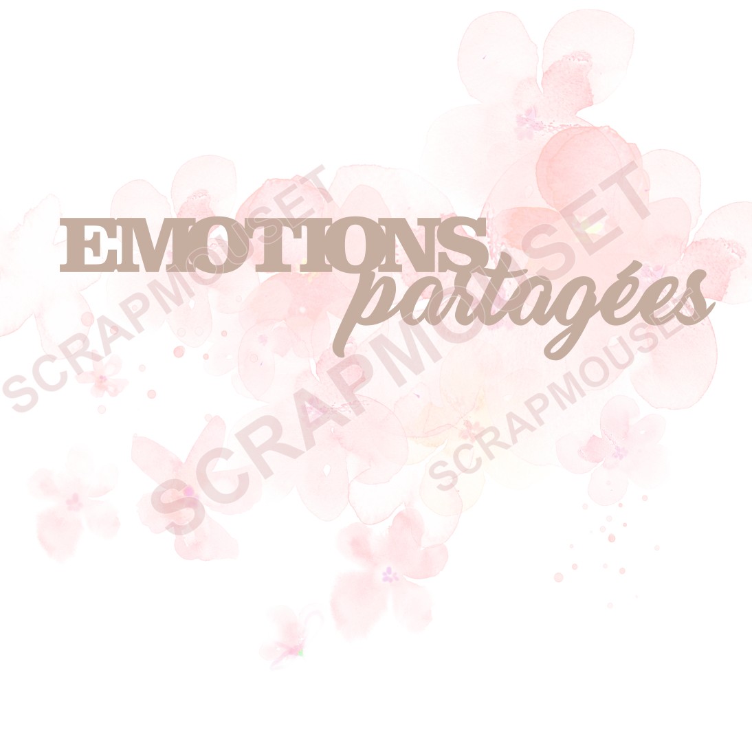 Mot Emotions partagées en carton bois SCRAPMOUSET