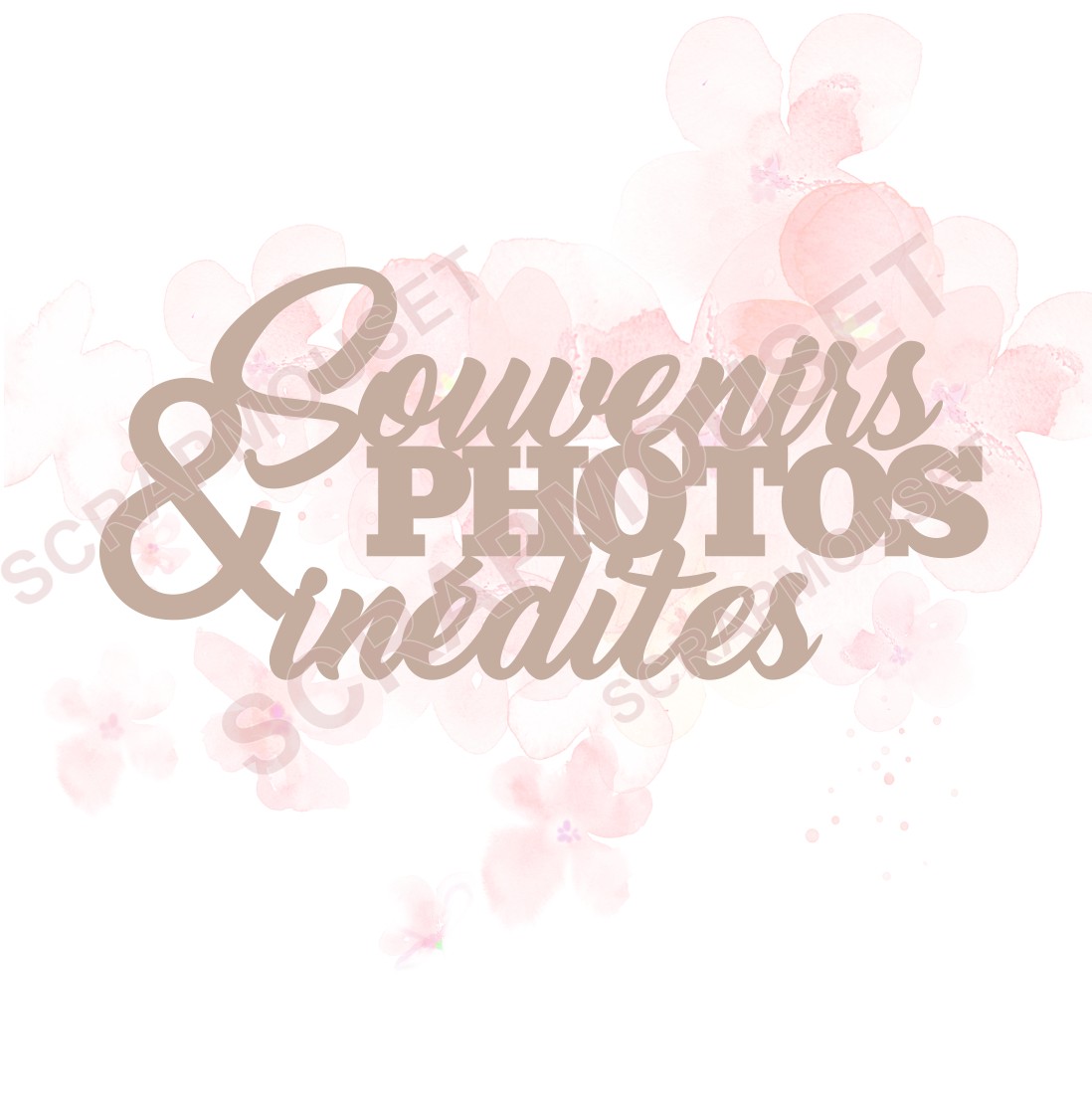 Mot Souvenirs et photos inédites en carton bois SCRAPMOUSET