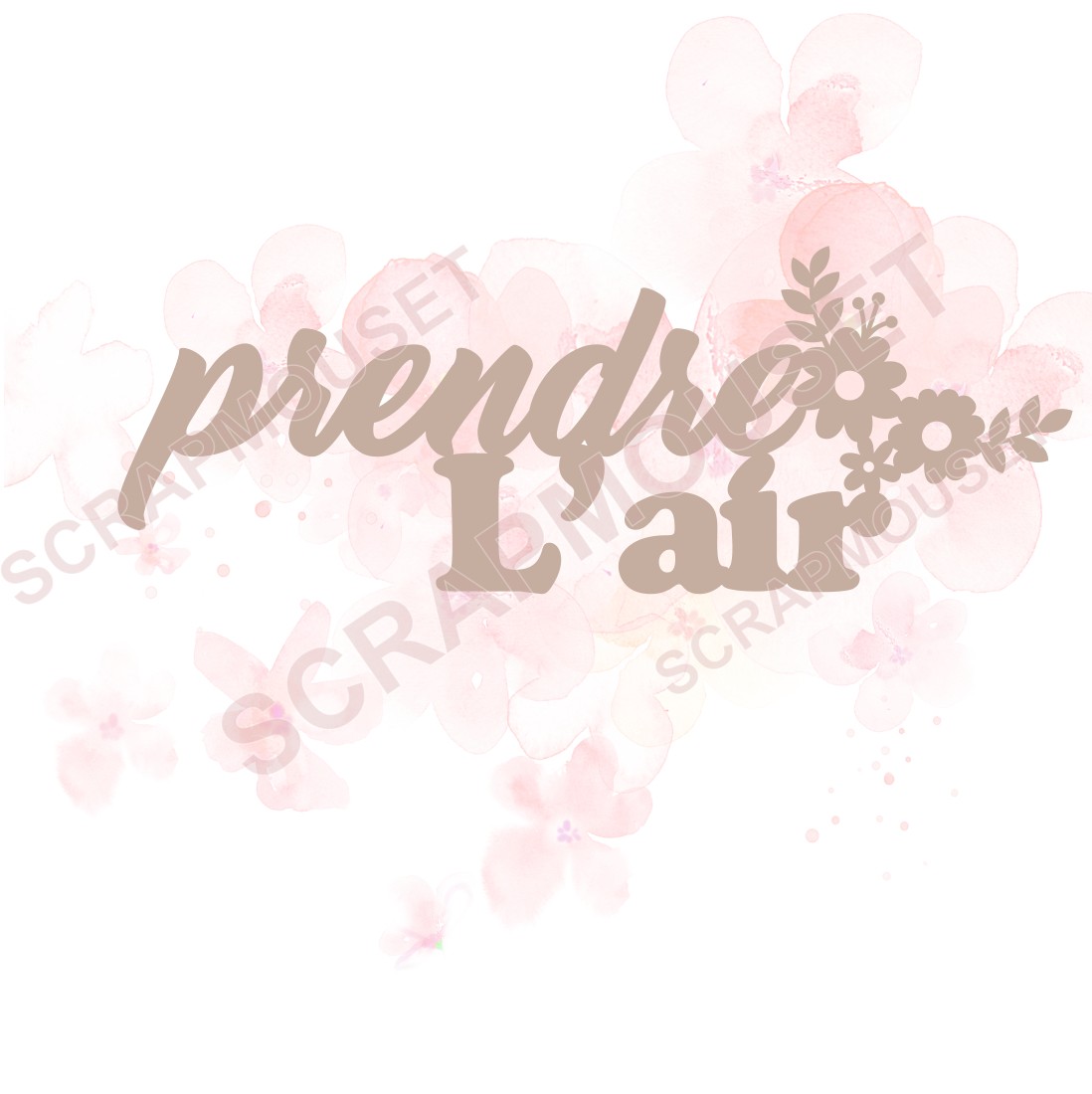 Mot Prendre l'air en carton bois SCRAPMOUSET