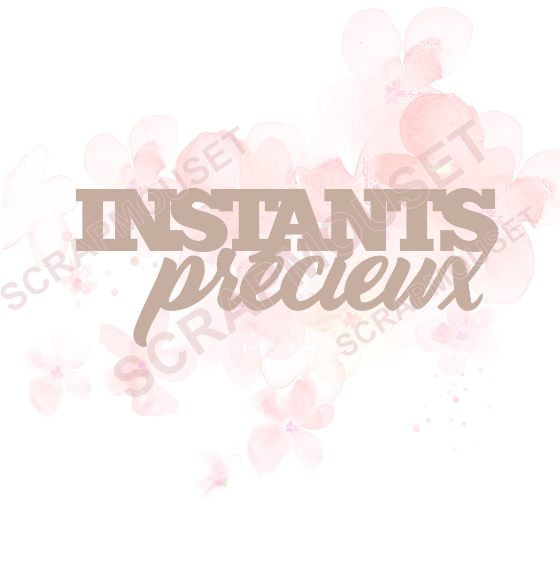 Mot Instants précieux en carton bois SCRAPMOUSET