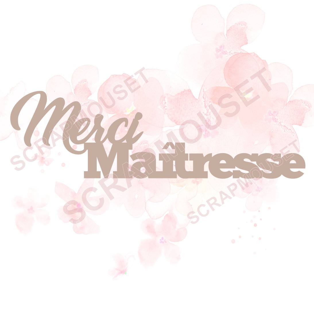 Mot Merci Maîtresse en carton bois SCRAPMOUSET