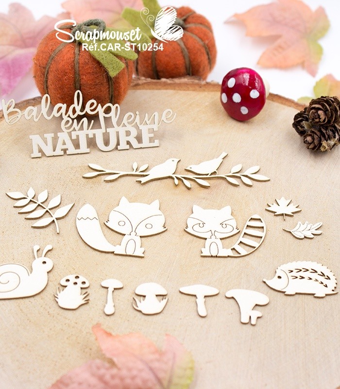 Chipboards Balade en pleine nature SCRAPMOUSET