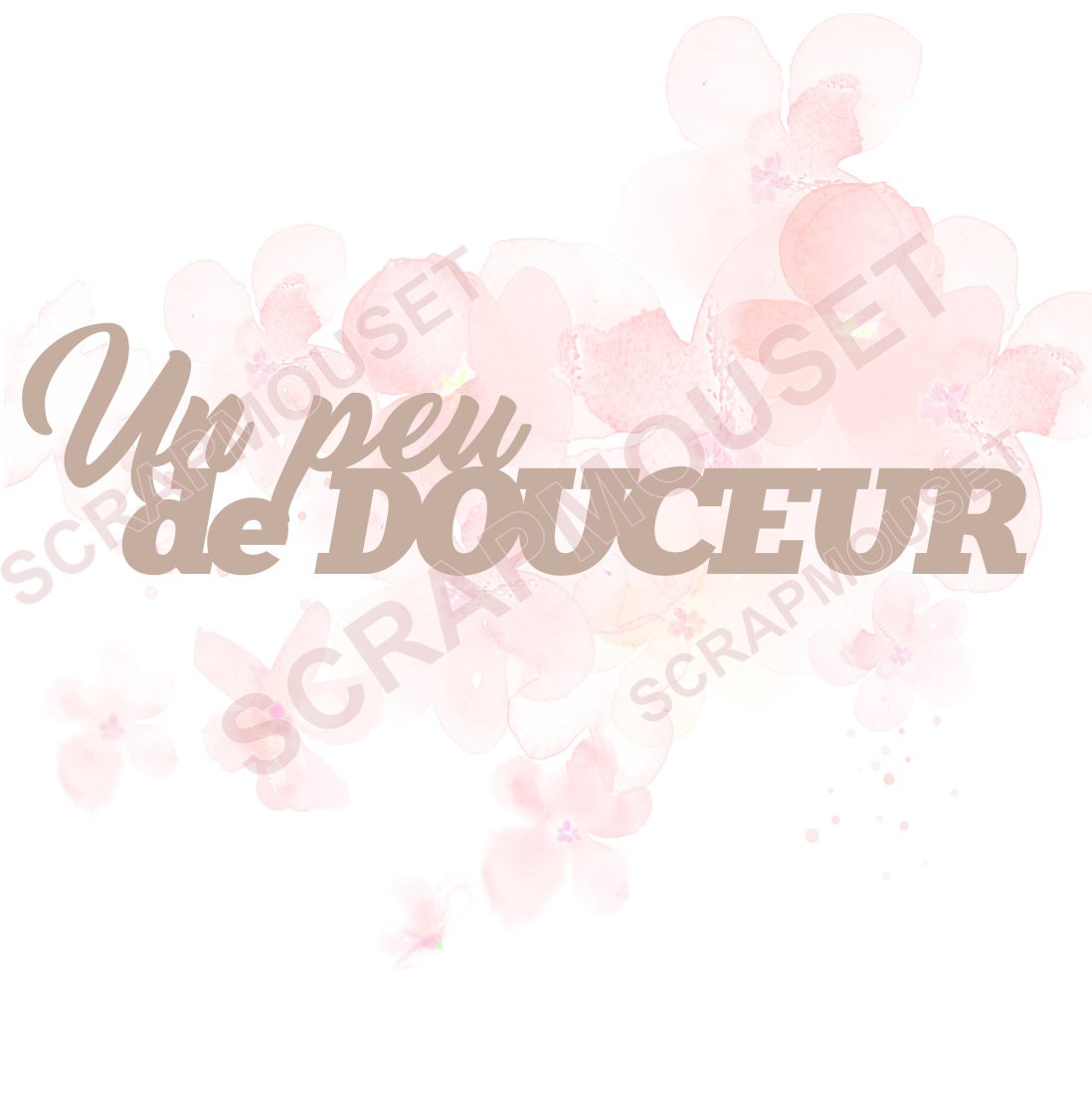 Mot un peu de douceur en carton bois SCRAPMOUSET