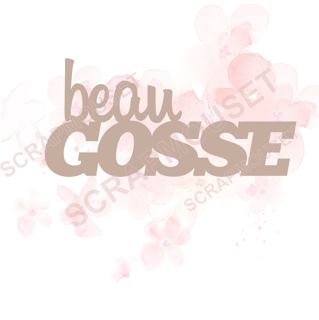 Mot beau gosse en carton bois SCRAPMOUSET