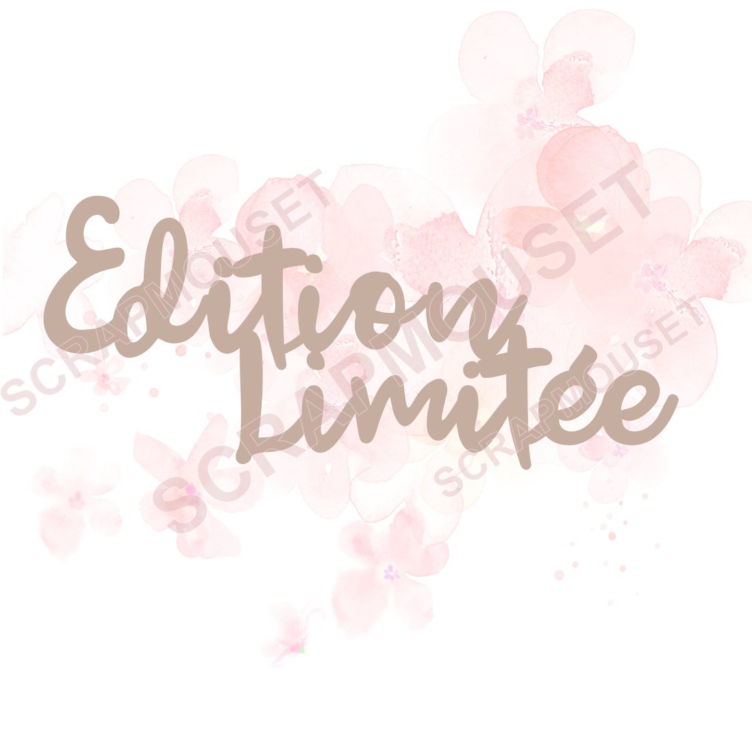 Mot Edition limitée en Carton bois SCRAPMOUSET