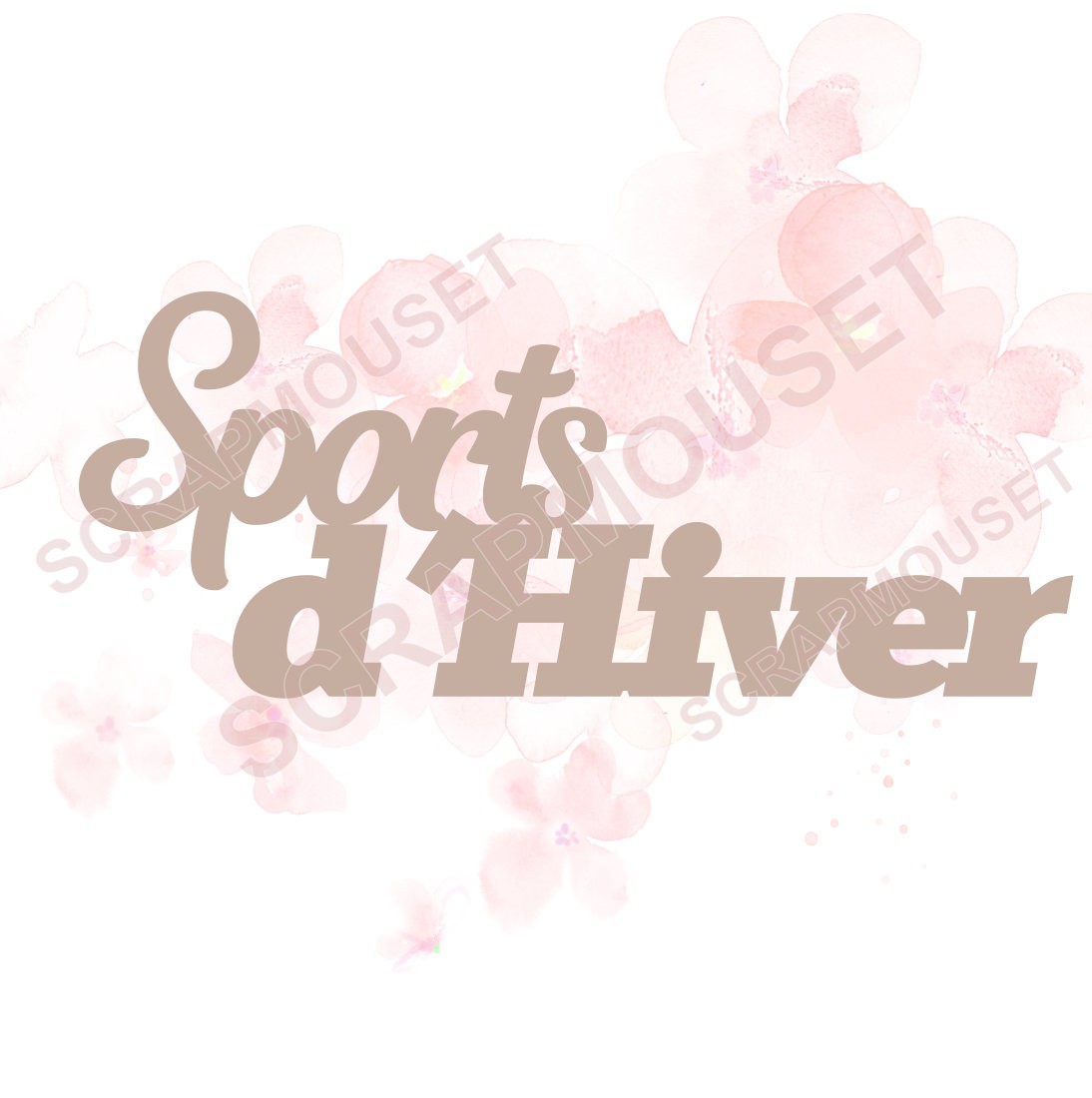 Mot Sports d'hiver en carton bois SCRAPMOUSET