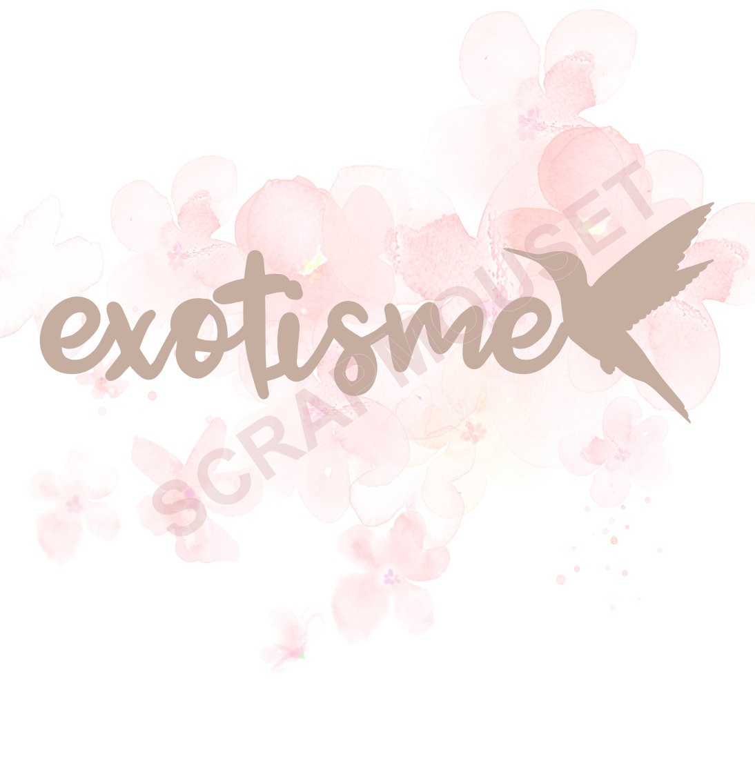 Mot Exotisme (avec Colibri) en carton bois SCRAPMOUSET