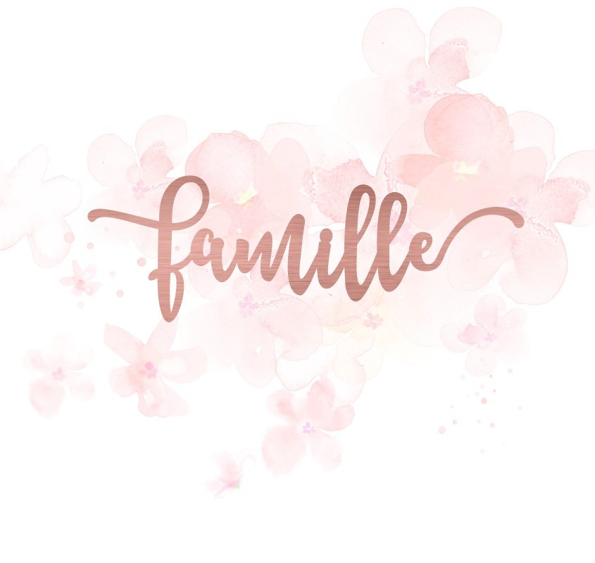 Mot famille en Acrylique Rose Gold 11 x 3,7 cm SCRAPMOUSET