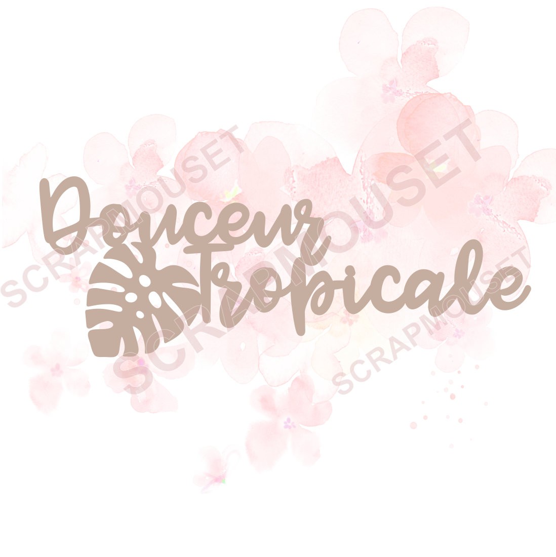 Mot Douceur tropicale en carton bois SCRAPMOUSET