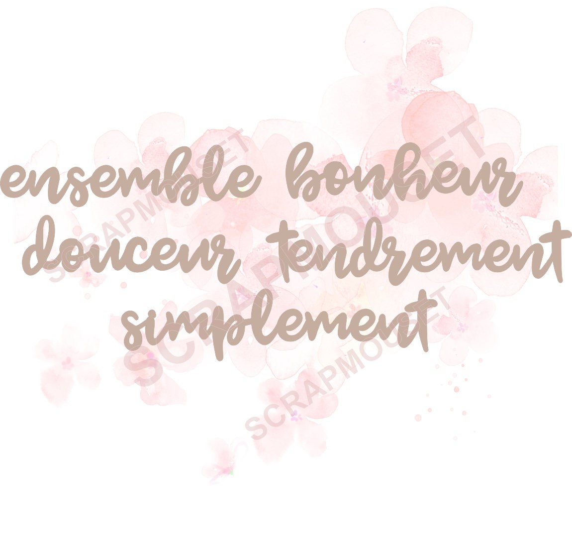 Lot de mots sur le thème MESSAGES SCRAPMOUSET