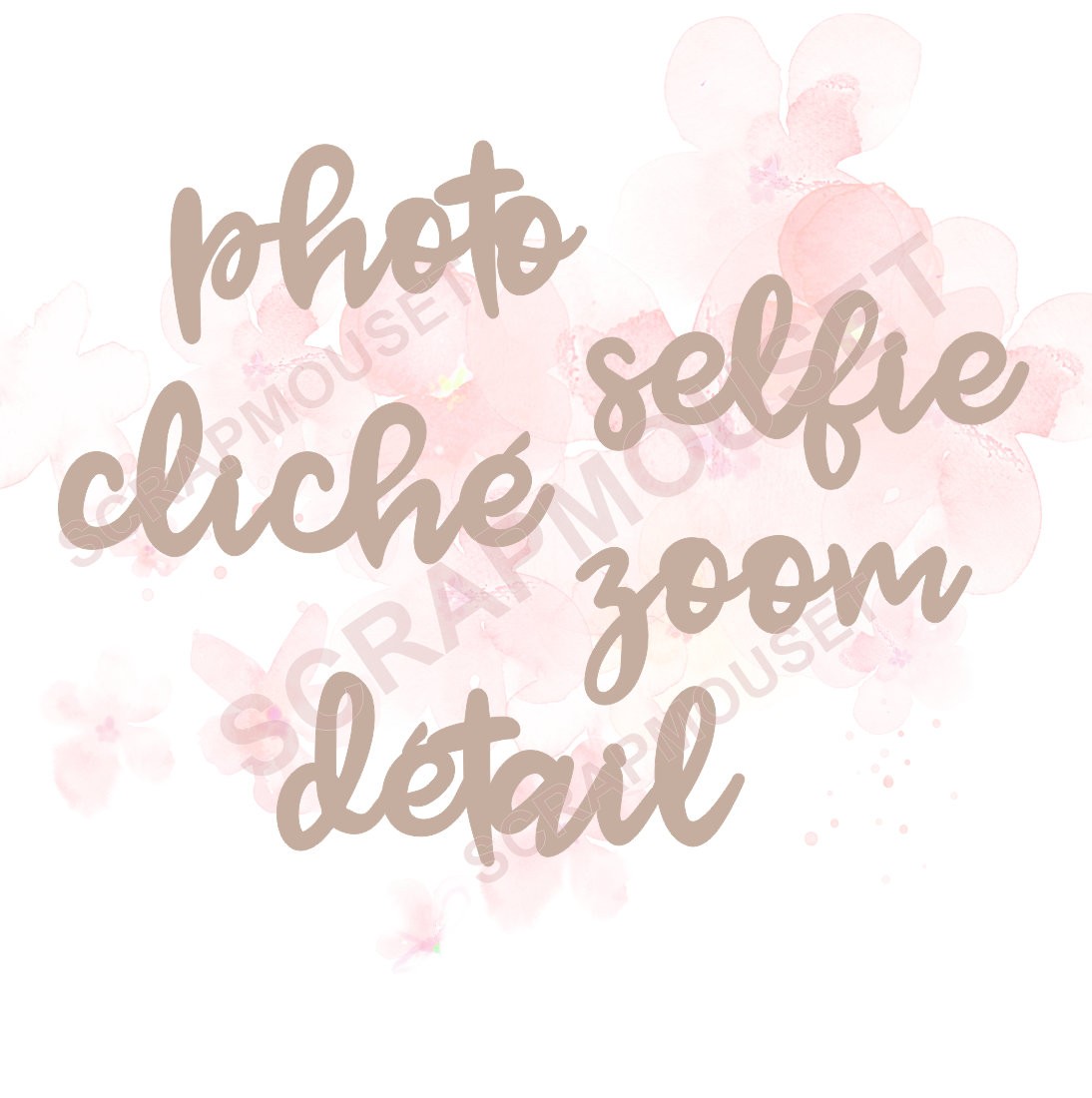 Lot de mots sur le thème PHOTO SCRAPMOUSET