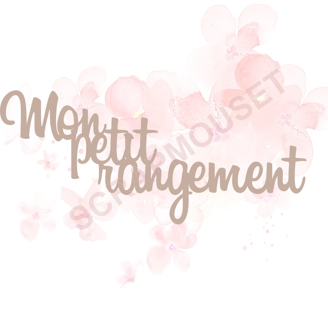 Expression Mon petit rangement en carton bois SCRAPMOUSET