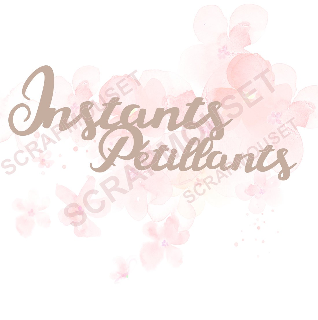 Mot Instants pétillants en carton bois SCRAPMOUSET