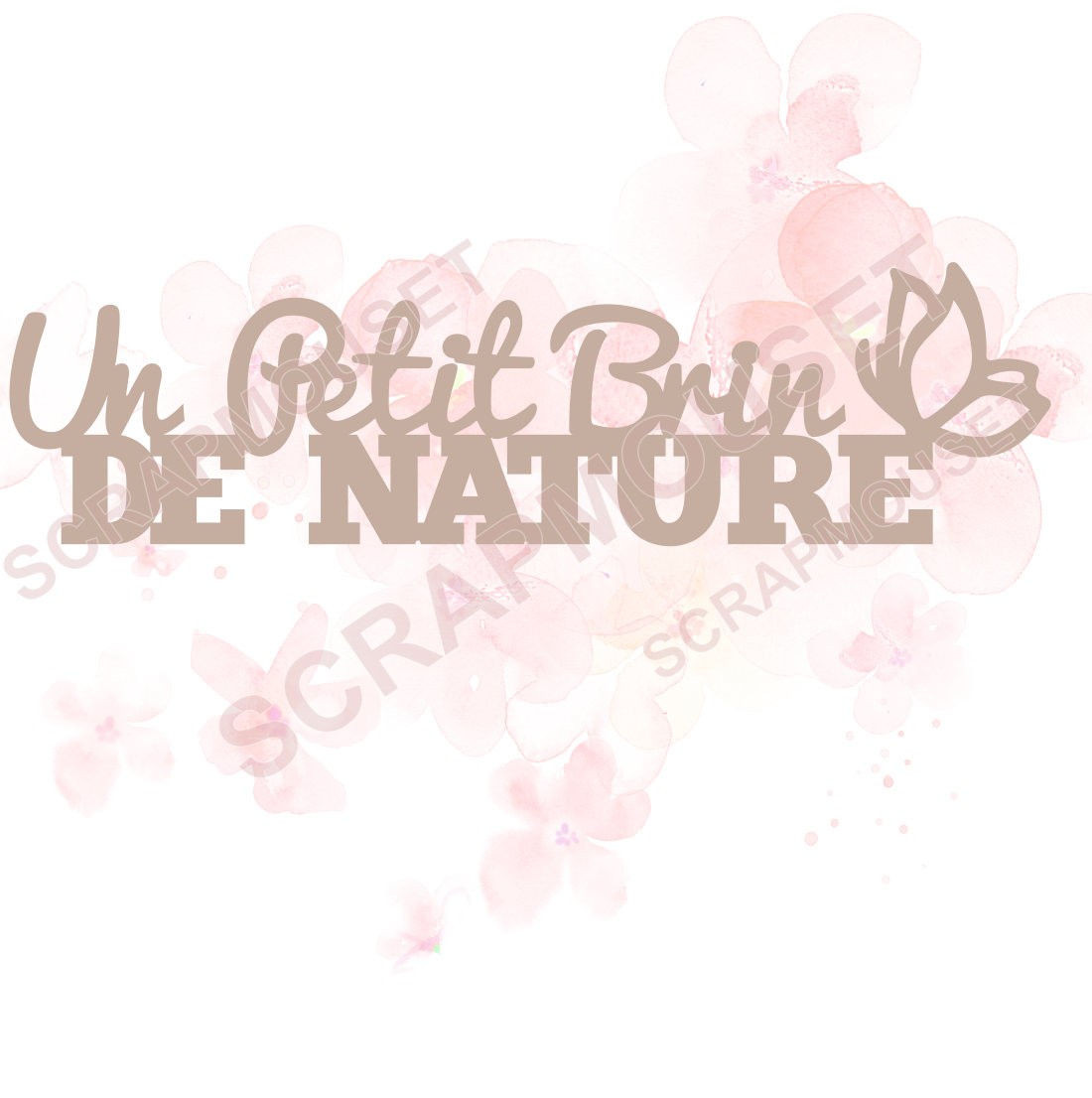 Mot Un petit brin de nature et petit papillon en carton bois SCRAPMOUSET